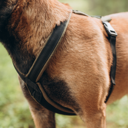 Movement Dog Gear™ Pro Harness 1.0